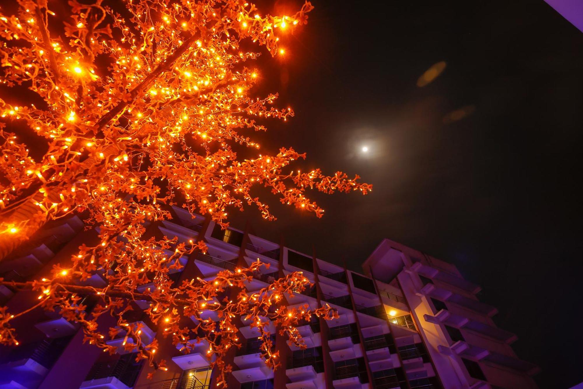 Long Beach Hotel Cox's Bazar Exterior foto